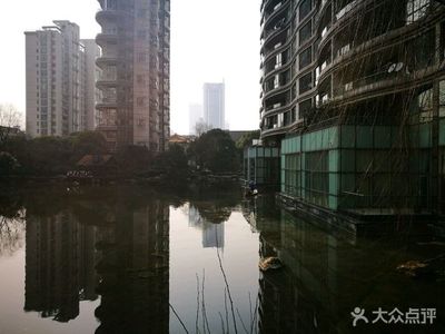上海中凯城市之光2号楼(上海中凯城市之光业主论坛)